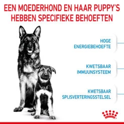 Royal Canin Maxi Starter Mother & Babydog - Hondenvoer -Hondenbenodigdheden Winkel royal canin maxi starter mother babydog hondenvoer 206858 2000 none