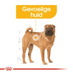 Royal Canin Medium Dermacomfort - Hondenvoer -Hondenbenodigdheden Winkel royal canin medium dermacomfort hondenvoer 143279 1000 none