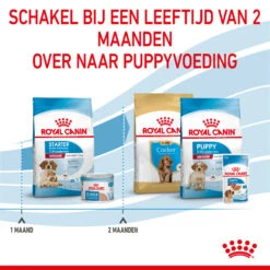 Royal Canin Medium Starter Mother & Babydog - Hondenvoer 21 Royal Canin Medium Starter Mother & Babydog - Hondenvoer -Hondenbenodigdheden Winkel royal canin medium starter mother babydog hondenvoer 206909 2000 none