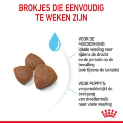 Royal Canin Medium Starter Mother & Babydog - Hondenvoer 19 Royal Canin Medium Starter Mother & Babydog - Hondenvoer -Hondenbenodigdheden Winkel royal canin medium starter mother babydog hondenvoer 206912 2000 none