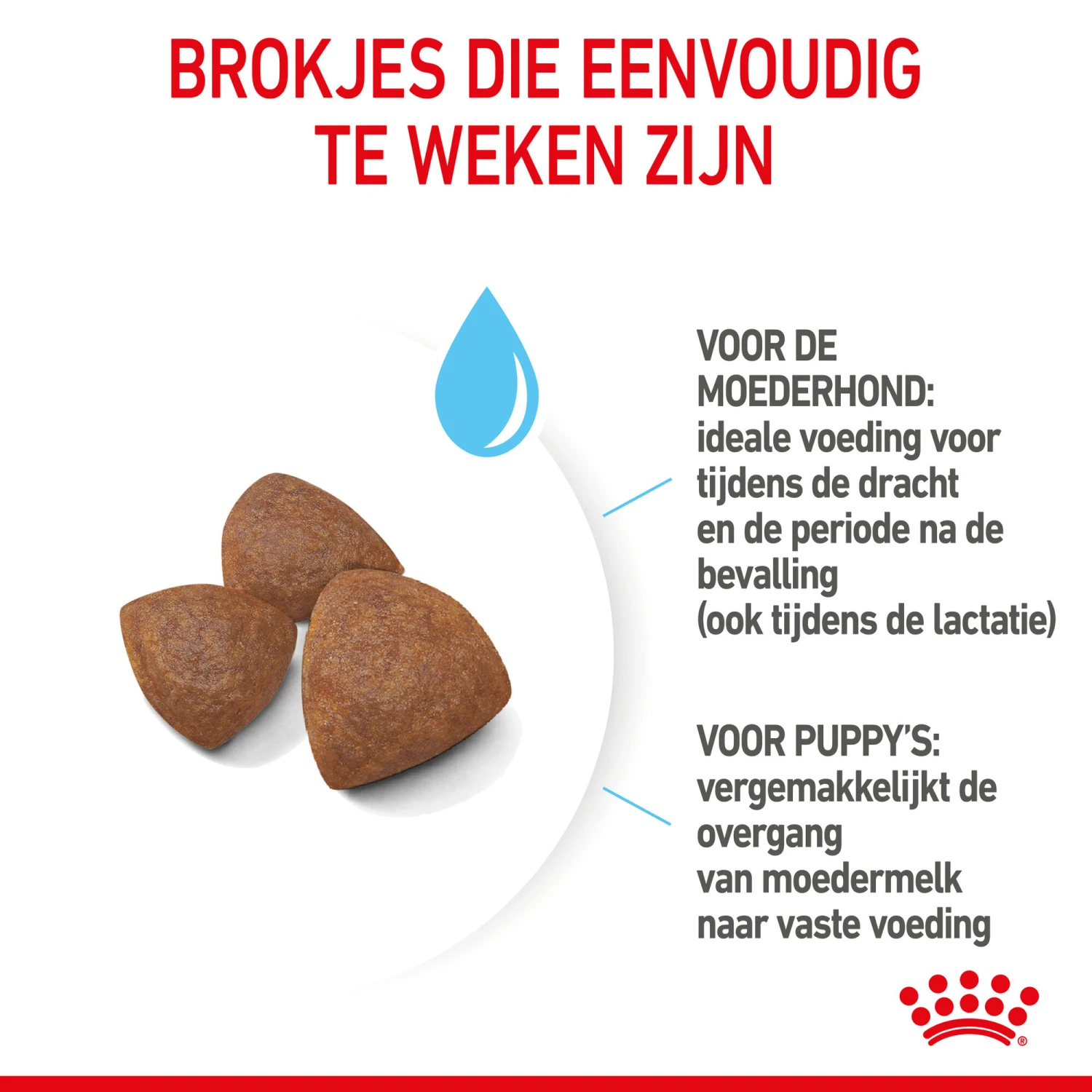 Royal Canin Medium Starter Mother & Babydog - Hondenvoer 9 Royal Canin Medium Starter Mother & Babydog - Hondenvoer - Afbeelding 7