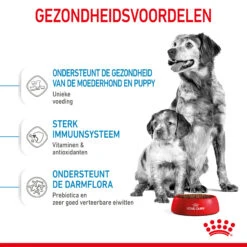 Royal Canin Medium Starter Mother & Babydog - Hondenvoer 18 Royal Canin Medium Starter Mother & Babydog - Hondenvoer -Hondenbenodigdheden Winkel royal canin medium starter mother babydog hondenvoer 206915 2000 none