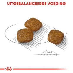 Royal Canin Mini Urinary Care - Hondenvoer -Hondenbenodigdheden Winkel royal canin mini urinary care hondenvoer 131078 1000 none