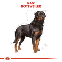 Royal Canin Rottweiler Adult - Hondenvoer -Hondenbenodigdheden Winkel royal canin rottweiler adult hondenvoer 139942 1000 none