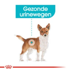 Royal Canin Urinary Care Wet - Hondenvoer -Hondenbenodigdheden Winkel royal canin urinary care wet hondenvoer 131930 1000 none