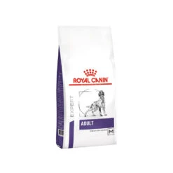 Royal Canin VCN - Adult Medium Dog -Hondenbenodigdheden Winkel royal canin vcn adult medium dog 217742 1000 none