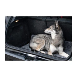 Royal Dry Doormat 18 Royal Dry Doormat -Hondenbenodigdheden Winkel royal dry doormat 187417 2000 none