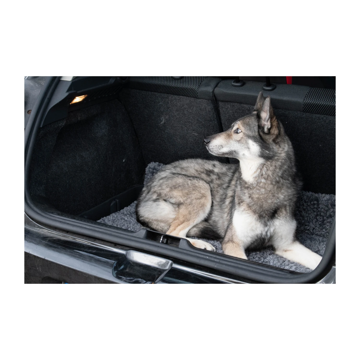 Royal Dry Doormat 10 Royal Dry Doormat - Afbeelding 8