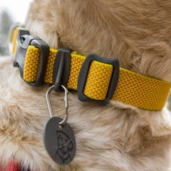 Ruffwear Hi & Light Collar -Hondenbenodigdheden Winkel ruffwear hi light collar 194258 1000 none