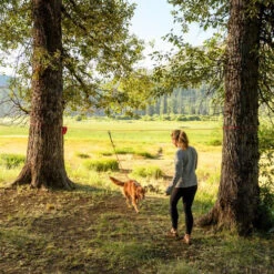 Ruffwear Knot-a-Hitch -Hondenbenodigdheden Winkel ruffwear knot a hitch 124643 0500 none