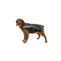 Ruffwear Lumenglow Hi-Vis Dog Jacket -Hondenbenodigdheden Winkel ruffwear lumenglow hi vis dog jacket 217205 1000 none