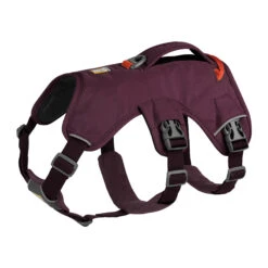 Ruffwear Webmaster Harness 30 Ruffwear Webmaster Harness -Hondenbenodigdheden Winkel ruffwear web master harness xs purple rain 133858 2000 none