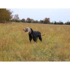 RukkaPets Protect Overall Zwart -Hondenbenodigdheden Winkel rukkapets protect overall zwart 216401 2000 none