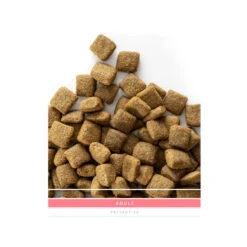 SANIMED Adult Dog -Hondenbenodigdheden Winkel sanimed adult dog 159188 1500 none