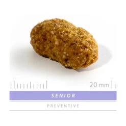 SANIMED Senior Dog -Hondenbenodigdheden Winkel sanimed senior dog 159248 1500 none