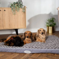 Scruffs Wilton Mattress -Hondenbenodigdheden Winkel scruffs wilton mattress 209684 1000 none