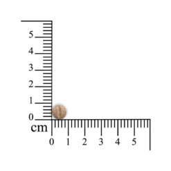 Sensipharm Gastro Entero Comfort -Hondenbenodigdheden Winkel sensipharm gastro entero comfort 174637 1000 none