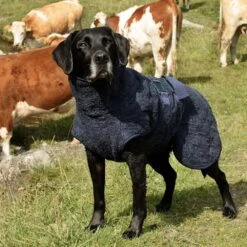 Siccaro WetDog SupremePro 2.0 -Hondenbenodigdheden Winkel siccaro wetdog supremepro 190159 1000 none