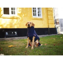 Siccaro WetDog SupremePro 2.0 -Hondenbenodigdheden Winkel siccaro wetdog supremepro 20 216994 2000 none