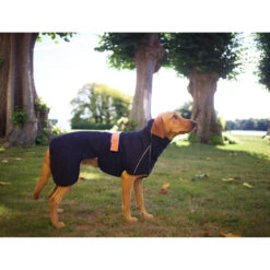 Siccaro WetDog SupremePro 2.0 -Hondenbenodigdheden Winkel siccaro wetdog supremepro 20 216995 2000 none