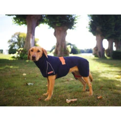 Siccaro WetDog SupremePro 2.0 -Hondenbenodigdheden Winkel siccaro wetdog supremepro 20 216996 2000 none