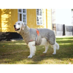 Siccaro WetDog SupremePro 2.0 -Hondenbenodigdheden Winkel siccaro wetdog supremepro 20 216997 2000 none