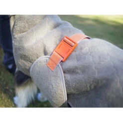 Siccaro WetDog SupremePro 2.0 -Hondenbenodigdheden Winkel siccaro wetdog supremepro 20 216999 2000 none