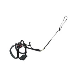 PetSafe Carelift - Draagsysteem Voor De Hond -Hondenbenodigdheden Winkel solvit carelift achterhand small rood 100073 1000 none