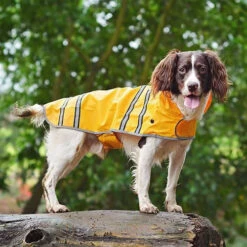 Sötnos Hondenregenjas 10 Sötnos Hondenregenjas -Hondenbenodigdheden Winkel stnos hondenregenjas 130475 0500 none