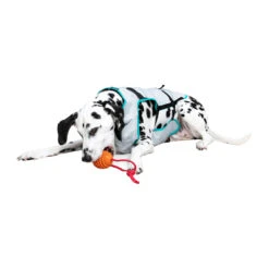 Suitical DRY Cooling Vest 21 Suitical DRY Cooling Vest -Hondenbenodigdheden Winkel suitical dry cooling vest 149882 2000 none