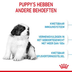 Royal Canin Giant Puppy - Hondenvoer -Hondenbenodigdheden Winkel tU5D749Qqd5Js4ADEa1KsTBWbZOmVr metaUm95YWwtQ2FuaW4tR2lhbnQtUHVwcHktSG9uZGVudm9lcl8wMi5qcGc