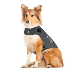 Thundershirt Hond -Hondenbenodigdheden Winkel thundershirt hond 215942 2000 none