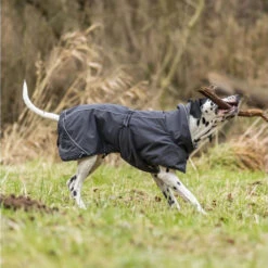 Trixie Hondenjas Calvi -Hondenbenodigdheden Winkel trixie hondenjas calvi 207467 1000 none