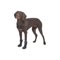 Trixie Pootbescherming Walker Active Long -Hondenbenodigdheden Winkel trixie pootbescherming walker active long 207476 1000 none