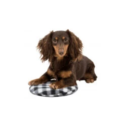 Trixie Warmtekussen -Hondenbenodigdheden Winkel trixie warmtekussen 145868 1000 none