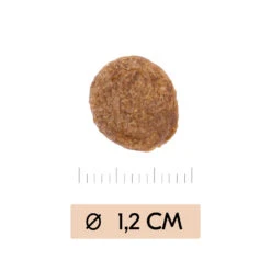 Vetality Gastrointestinal - Hondenvoer -Hondenbenodigdheden Winkel vetality gastrointestinal hondenvoer 195449 1000 none