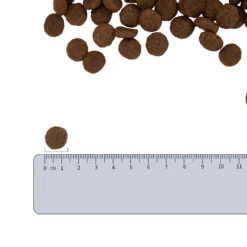 Vetality Hypoallergenic - Hondenvoer -Hondenbenodigdheden Winkel vetality hypoallergenic hondenvoer 182338 2000 none