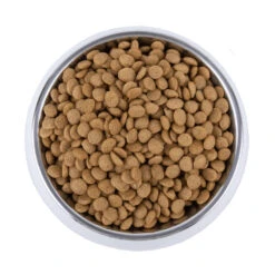 Vetality Skin Support - Hondenvoer 15 Vetality Skin Support - Hondenvoer -Hondenbenodigdheden Winkel vetality skin support hondenvoer 195221 1000 none