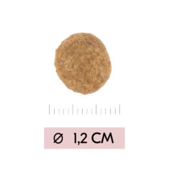 Vetality Skin Support - Hondenvoer 14 Vetality Skin Support - Hondenvoer -Hondenbenodigdheden Winkel vetality skin support hondenvoer 195452 1000 none