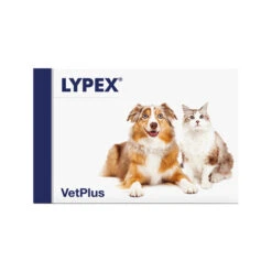 Vetplus Lypex -Hondenbenodigdheden Winkel vetplus lypex 212381 0500 none