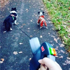 Wigzie Dual Doggie 3.0 -Hondenbenodigdheden Winkel wigzi dual doggie 30 167845 0500 none