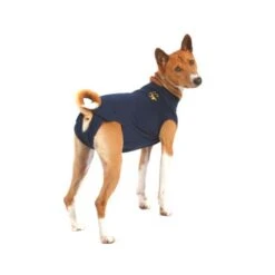 Medical Pet Shirt Hond -Hondenbenodigdheden Winkel xPuDXIGJ8BUF7KNct4dTau2Ls058PG metaYzY5MjU1OWNiMjdkMjQ4YTBkODUyNGFkZWQ4MzM5NDgzZjhkNDFmOGJkN2ZmMmU1MzNjZmYwODUxN2VhNDUxYV8zLmpwZWc