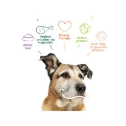 Yarrah - Droogvoer Hond Senior Bio -Hondenbenodigdheden Winkel yarrah droogvoer hond senior bio 201146 1000 none