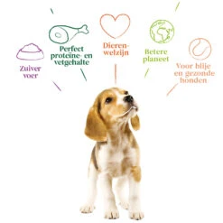 Yarrah - Droogvoer Puppy Bio -Hondenbenodigdheden Winkel yarrah droogvoer puppy bio 199685 1000 none