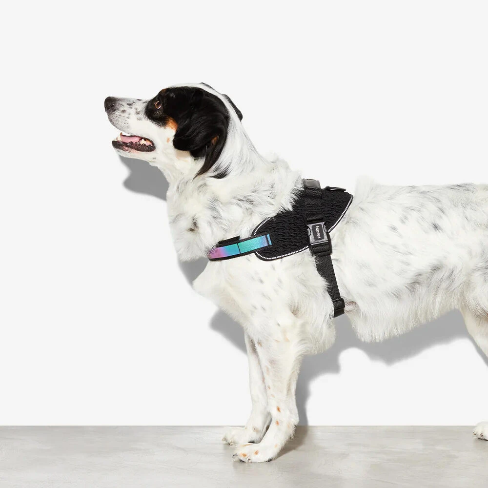 Zee.Dog FlyHarness Hondentuigje 15 Zee.Dog FlyHarness Hondentuigje - Afbeelding 13