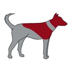 ZenPet Pro Collar -Hondenbenodigdheden Winkel zenpet pro collar 193865 0500 none