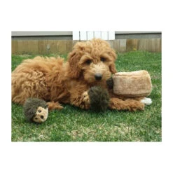 ZippyPaws Zippy Burrow Hedgehog Den -Hondenbenodigdheden Winkel zippypaws zippy burrow hedgehog den 221069 0500 none