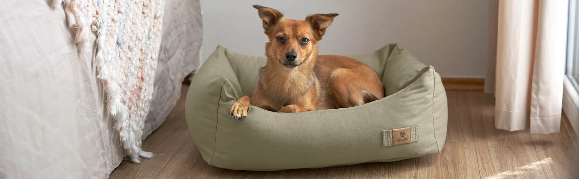 Hondenbenodigdheden Winkel -Hondenbenodigdheden Winkel dfgdg